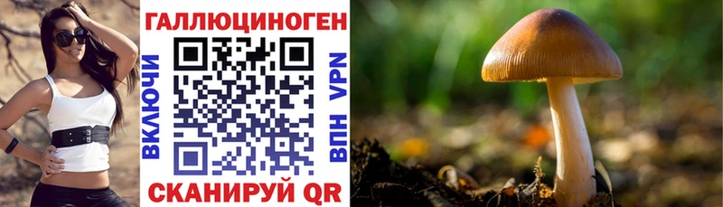 Псилоцибиновые грибы мицелий  Новоульяновск 
